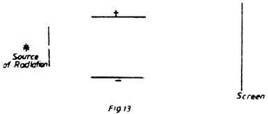 Image From EcoleBooks.com