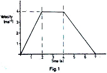 Image From EcoleBooks.com