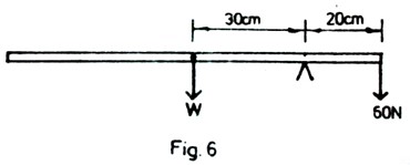 Image From EcoleBooks.com