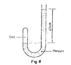 Image From EcoleBooks.com