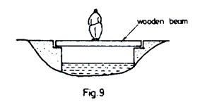 Image From EcoleBooks.com