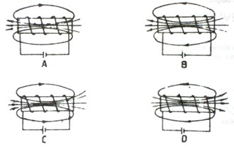 Image From EcoleBooks.com