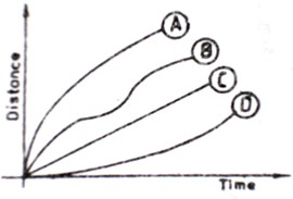 Image From EcoleBooks.com