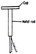Image From EcoleBooks.com