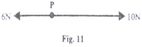 Image From EcoleBooks.com
