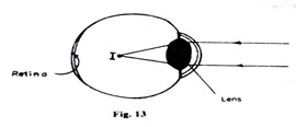 Image From EcoleBooks.com