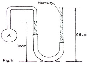 Image From EcoleBooks.com
