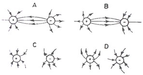 Image From EcoleBooks.com