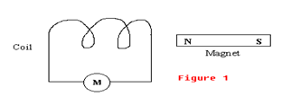 Image From EcoleBooks.com