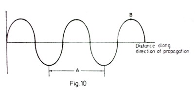 Image From EcoleBooks.com