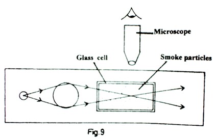 Image From EcoleBooks.com
