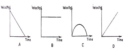 Image From EcoleBooks.com