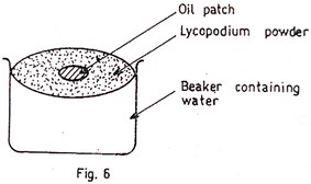 Image From EcoleBooks.com