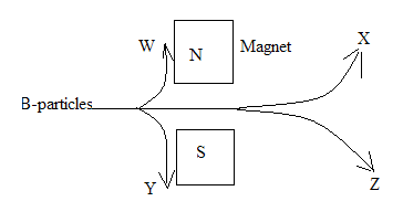 Image From EcoleBooks.com