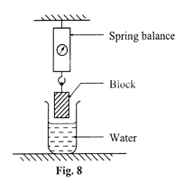 Image From EcoleBooks.com