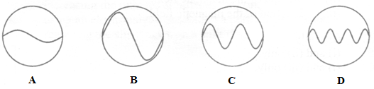 Image From EcoleBooks.com