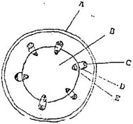 Image From EcoleBooks.com
