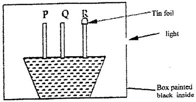 Image From EcoleBooks.com