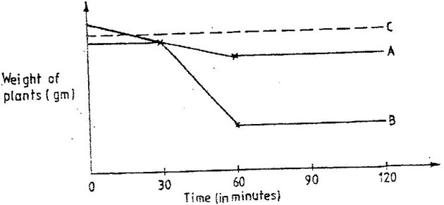 Image From EcoleBooks.com