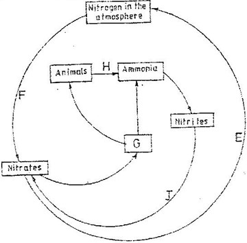 Image From EcoleBooks.com