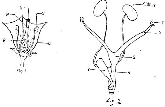 Image From EcoleBooks.com