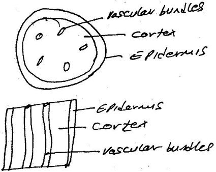 Image From EcoleBooks.com