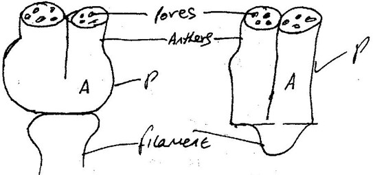 Image From EcoleBooks.com