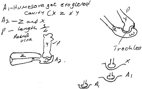 Image From EcoleBooks.com