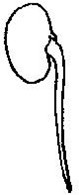 Image From EcoleBooks.com