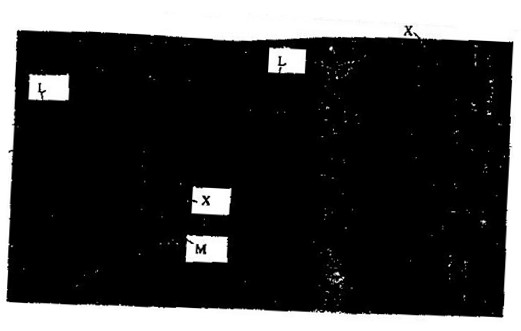 Image From EcoleBooks.com