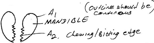 Image From EcoleBooks.com