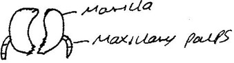 Image From EcoleBooks.com