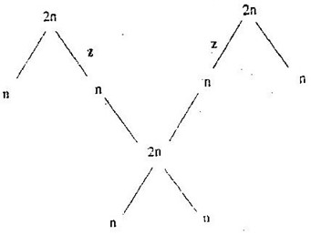 Image From EcoleBooks.com