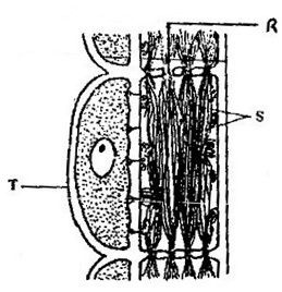 Image From EcoleBooks.com