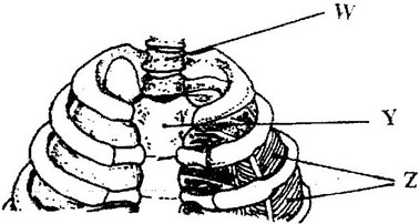 Image From EcoleBooks.com