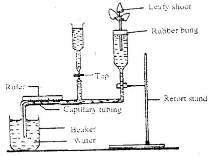 Image From EcoleBooks.com
