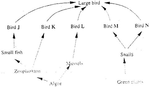 Image From EcoleBooks.com