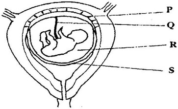 Image From EcoleBooks.com
