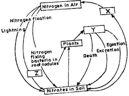 Image From EcoleBooks.com