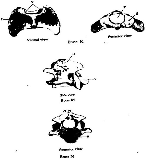 Image From EcoleBooks.com