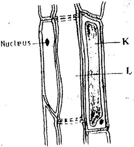 Image From EcoleBooks.com