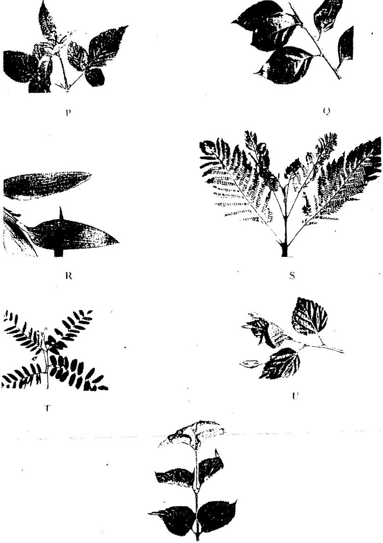 Image From EcoleBooks.com