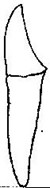 Image From EcoleBooks.com