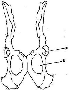 Image From EcoleBooks.com