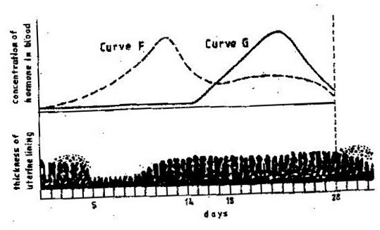 Image From EcoleBooks.com