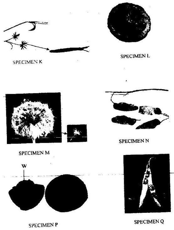 Image From EcoleBooks.com