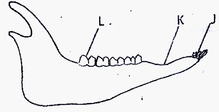 Image From EcoleBooks.com