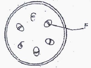 Image From EcoleBooks.com