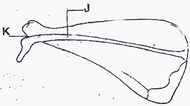 Image From EcoleBooks.com