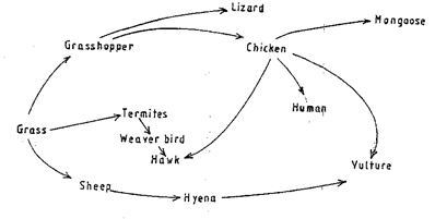 Image From EcoleBooks.com